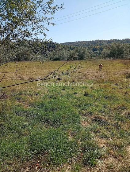 Vand casa + teren 5500mp Cacica, Jud. Suceava