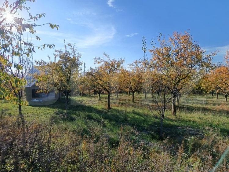 Teren Construcții intravilan de 3325 mp, în Măgurele