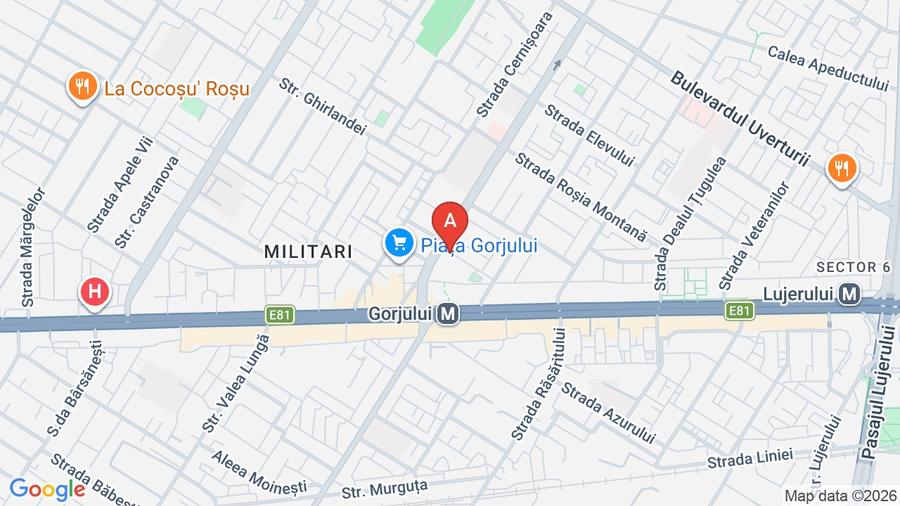 Proprietate specială, de 2 mp, în Gorjului