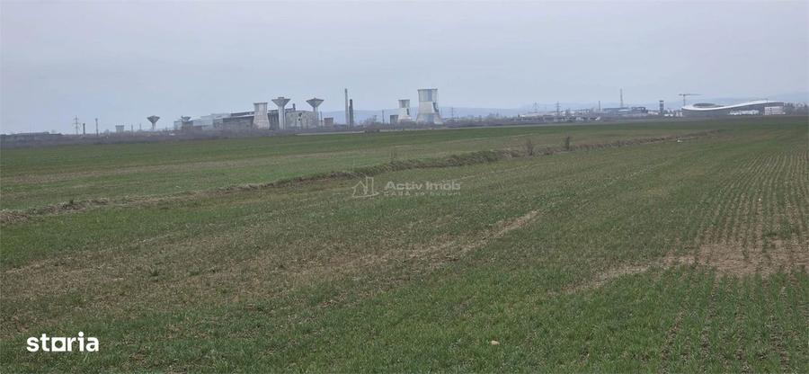 Teren de 7900 mp, în Ulmi