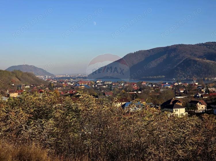 Teren de 6874 mp, în Alexandru cel Bun