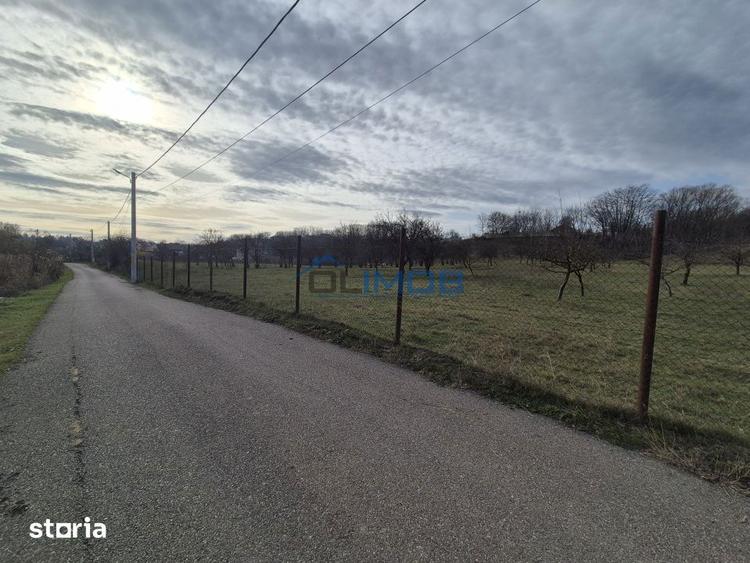 Teren de 9123 mp, în Central