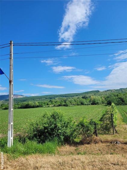 Teren de 8900 mp, în Stremț