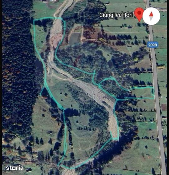 Teren de 49000 mp, în Borca