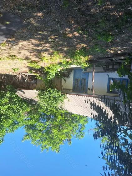 Casa de vanzare 13000 euro - 4