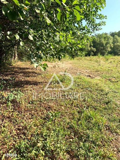 Teren intravilan de vanzare in Polovragi - 6