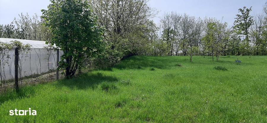 Teren de 3800 mp, în Bălușeni