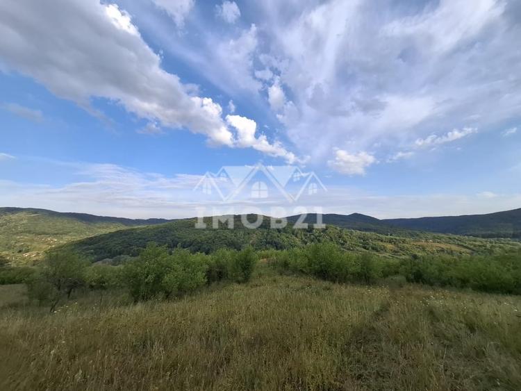Teren agricol extravilan de 161899 mp, în Șoimari