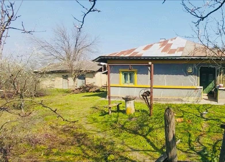 Teren de 7700 mp, în Letca Veche
