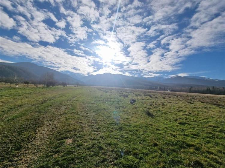 Teren Construcții extravilan de 22790 mp, în Dejani