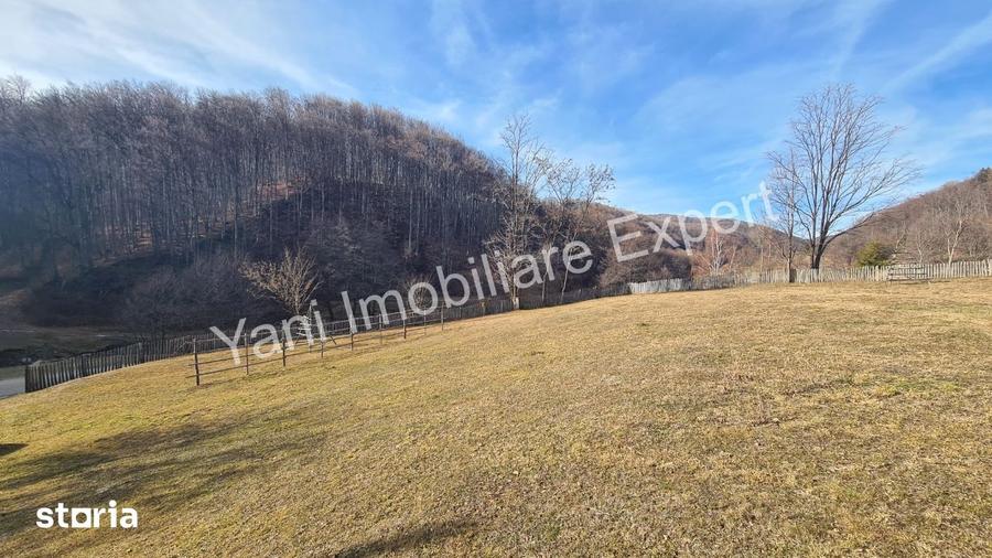 Teren de 4681 mp, în Cicănești