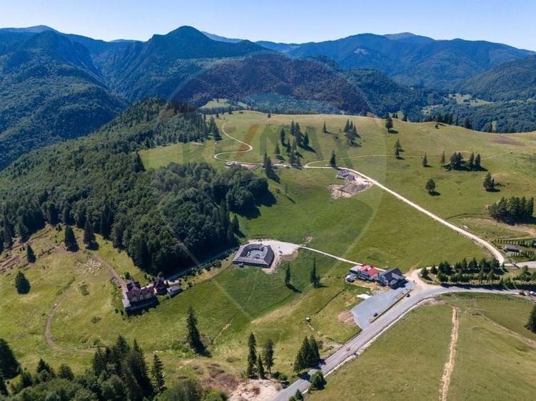 Teren agricol extravilan de 56599 mp, în Dâmbovicioara