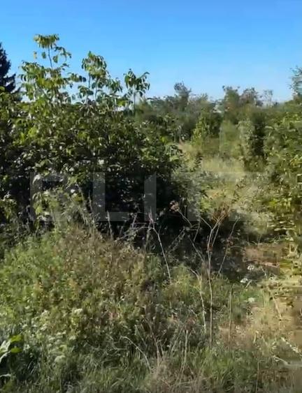 Teren Construcții intravilan de 1539 mp, în Valea Voievozilor