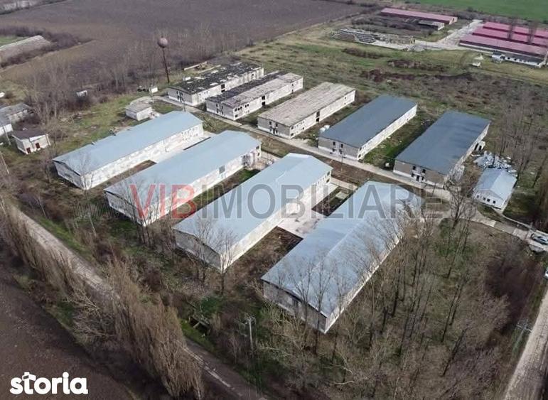 Teren de 35000 mp, în Funcționarilor