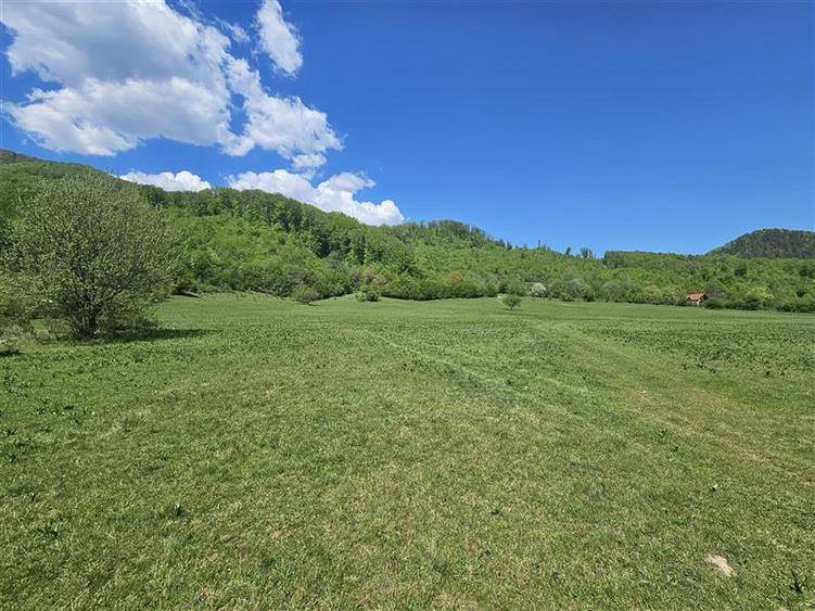 Teren intravilan de 5370 mp, în Poiana Sărată