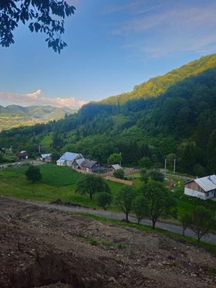 Teren Construcții intravilan de 10000 mp, în Bistrița Bârgăului