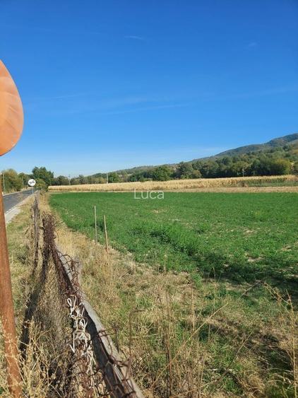 Teren intravilan Costesti