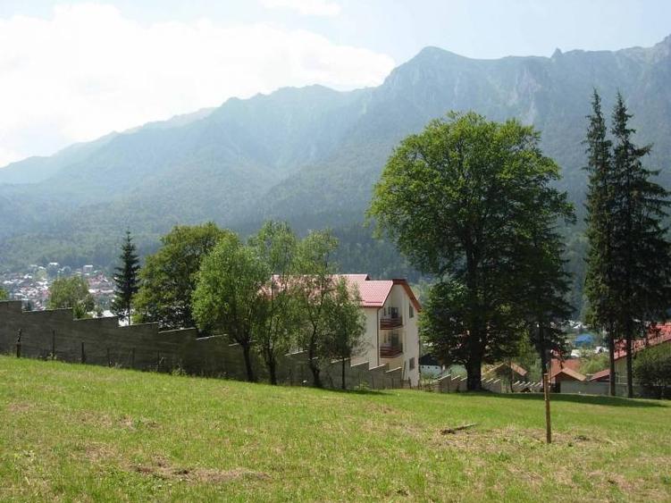 Teren intravilan de 3872 mp, în Zamora