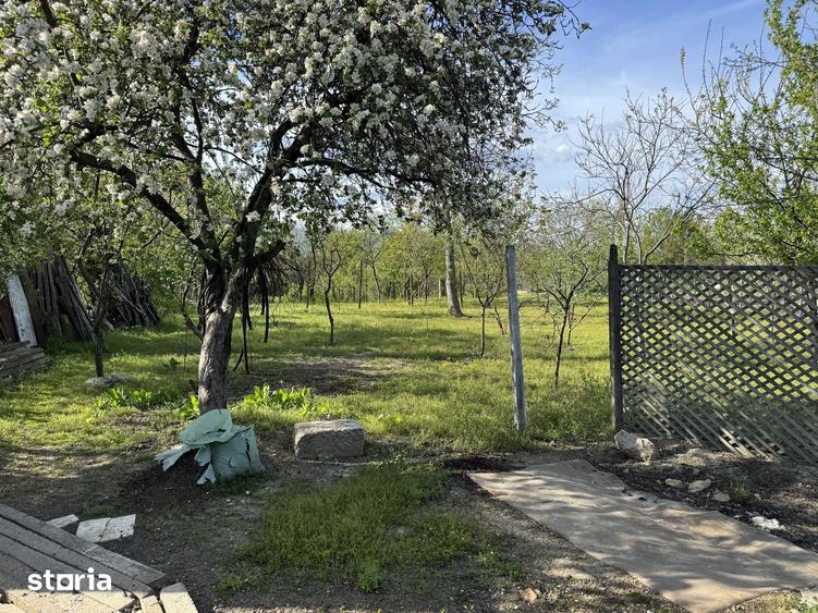 Casă cu 4 camere cu Teren 1600 Mp în Ulmeni
