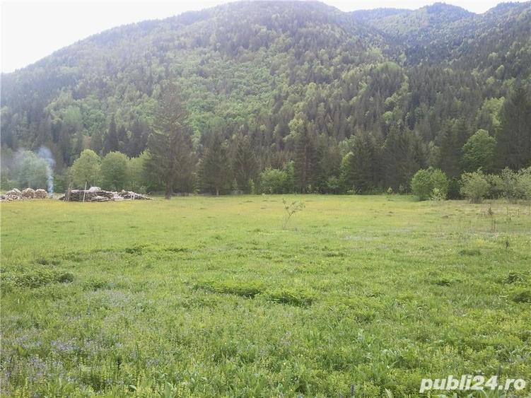 Teren de 5000 mp, în Brateș