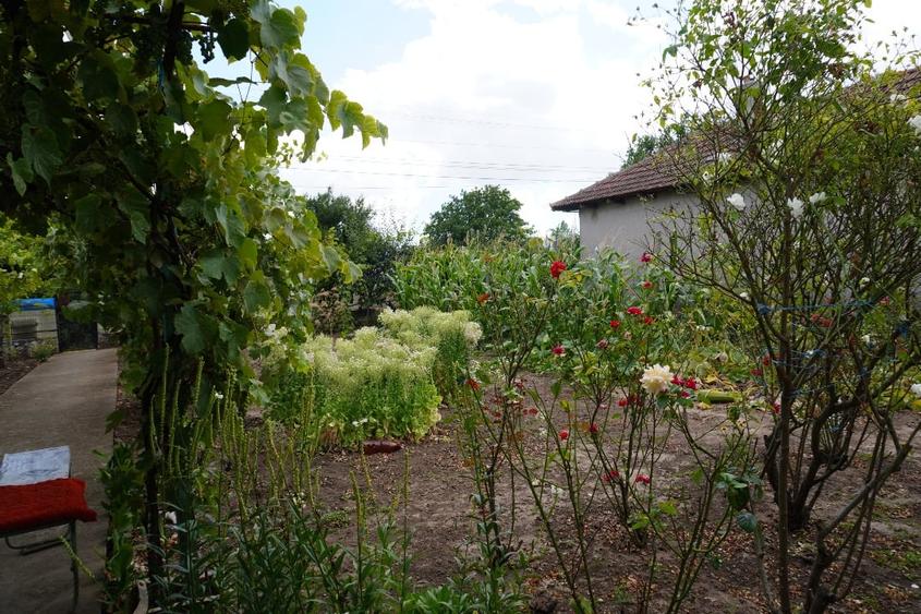 Casă individuală cu 3 camere cu Canalizare în Nord