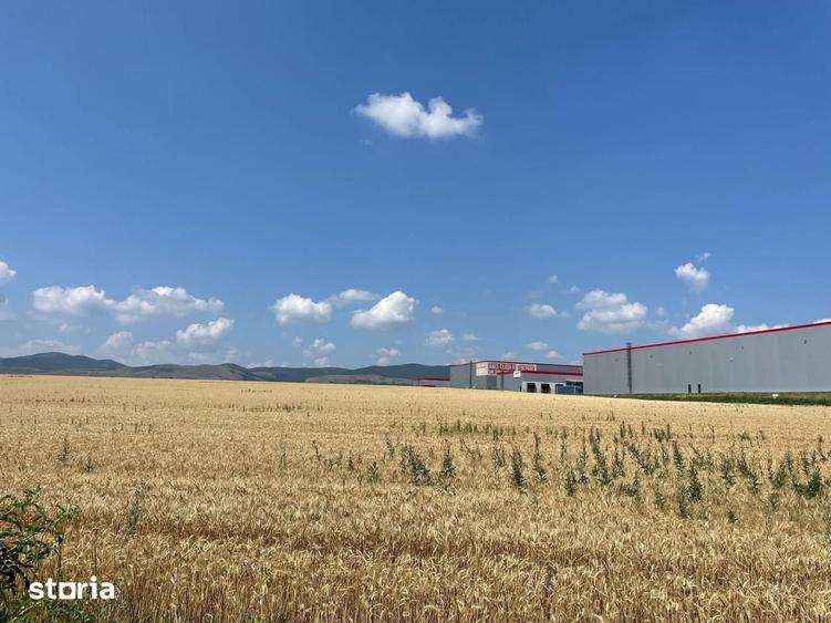 Terern pentru investitie in Bacau potrivit pentru proiect imobiliar - 6