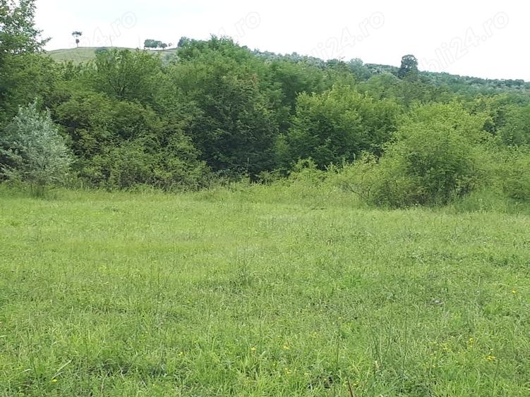 Teren de 3600 mp, în Valea Călugărească