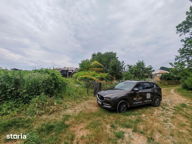 Casă cu 4 camere cu Teren 3300 Mp în Blăgești