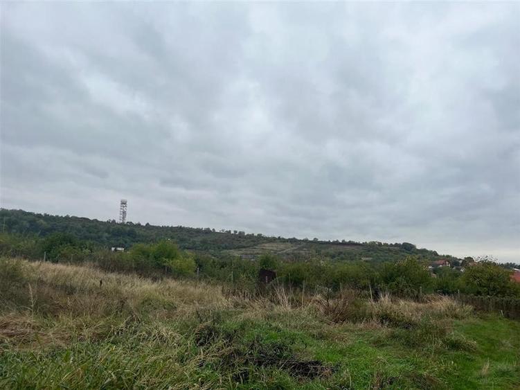 Teren intravilan de 1200 mp, în Paleu