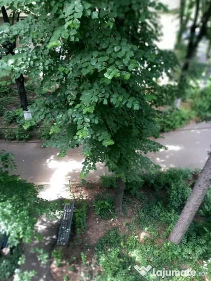 Apartament 2 camere decomandate, confort 1, zona bulevardul castanilor - 4