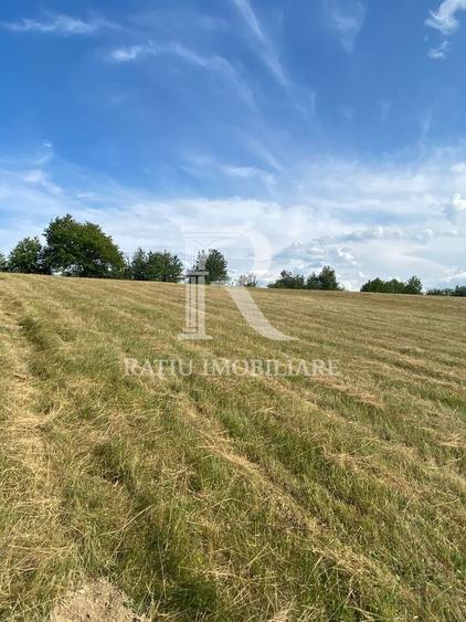 Teren Construcții intravilan de 17500 mp, în Șinteu