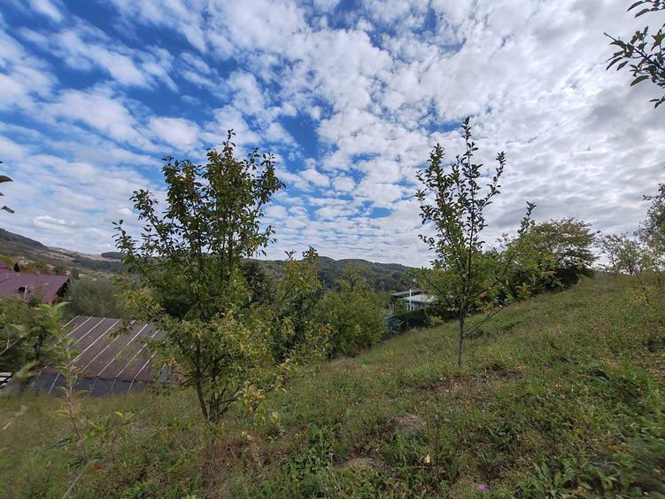 Teren de 5400 mp, în Drăgăneasa