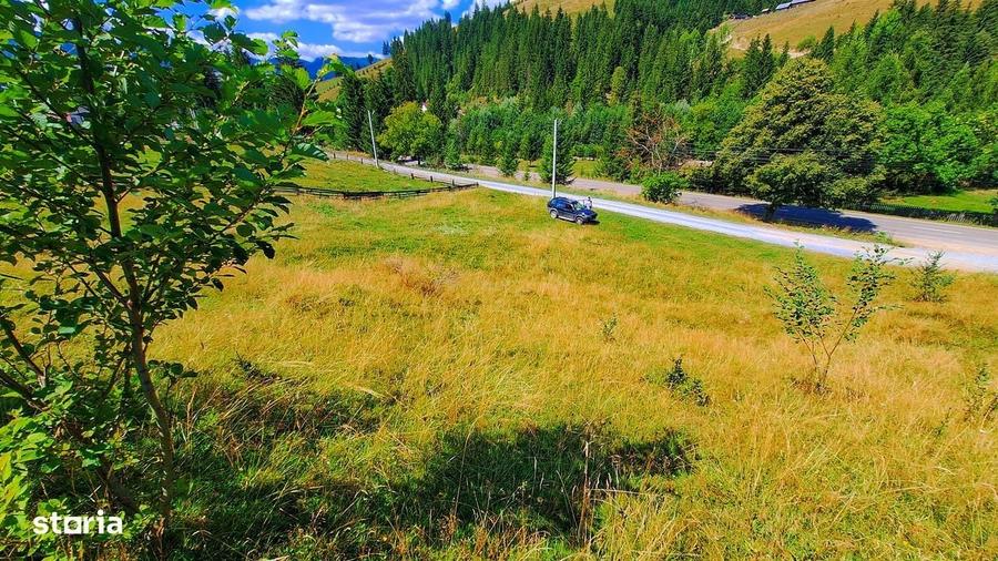 Teren de 2000 mp, în Paltin