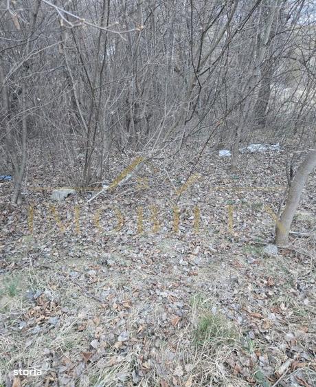 Teren de 1000 mp, în Făget