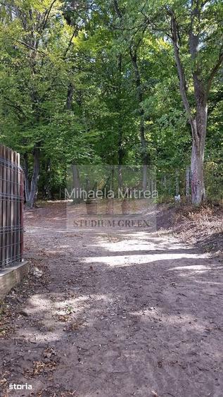 Proprietar vand 9700 mp teren in Faget- la 10 min de Cluj
