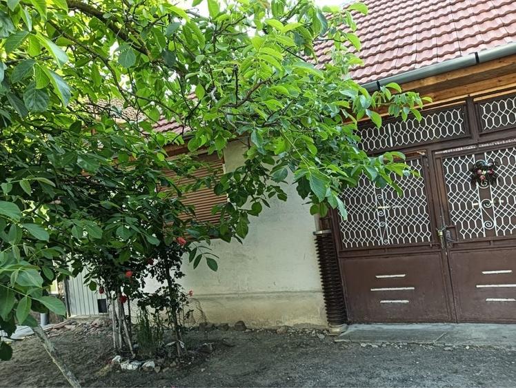Casă cu 4 camere în Berindia