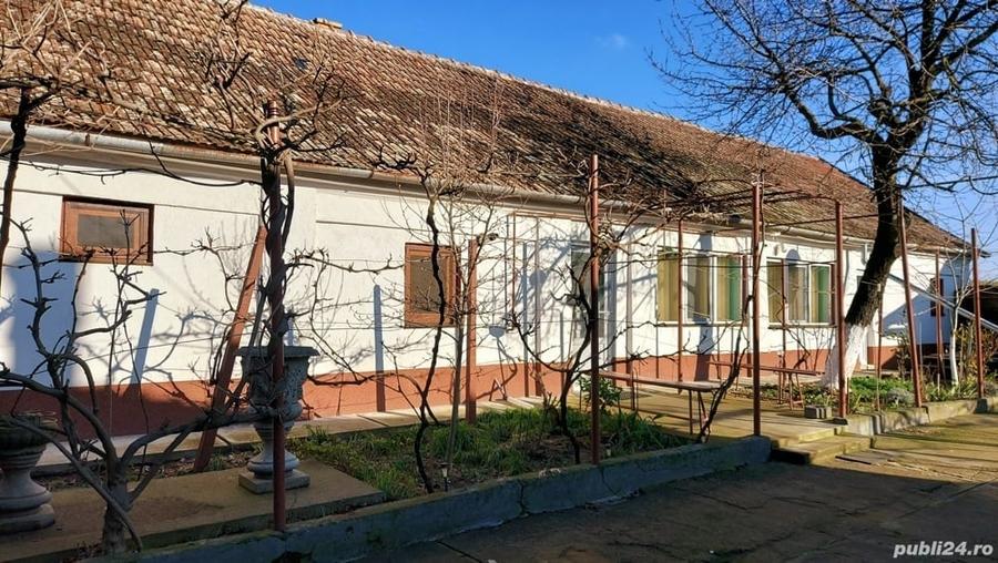 Casă cu 6 camere cu Teren 2984 Mp în Chișineu-Criș