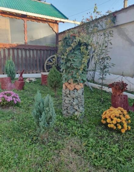 Casă individuală cu 3 camere cu Canalizare în Velț