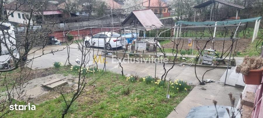 Casă cu 3 camere cu Teren 1558 Mp în Dănești