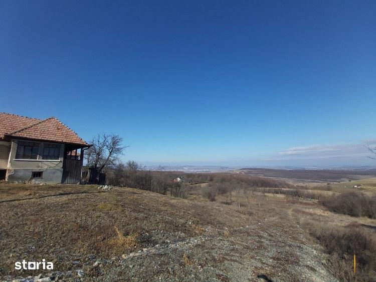 Teren de 3744 mp, în Jucu