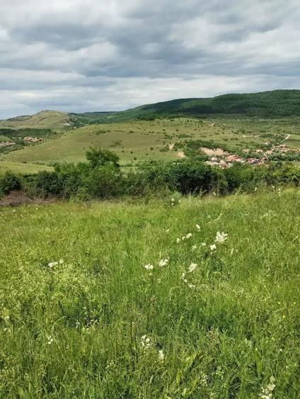 Teren de 2200 mp, în Rădaia