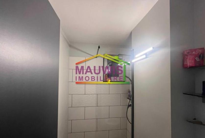 Apartament cu 2 camere, mobilat în Baba Novac
