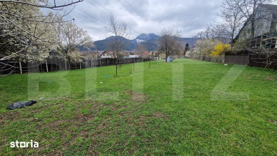 Teren de 4300 mp, în Baciu