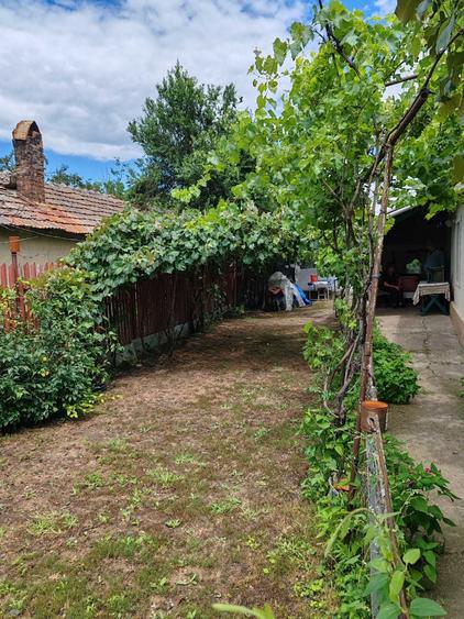 Casă cu 2 camere în Sărulești