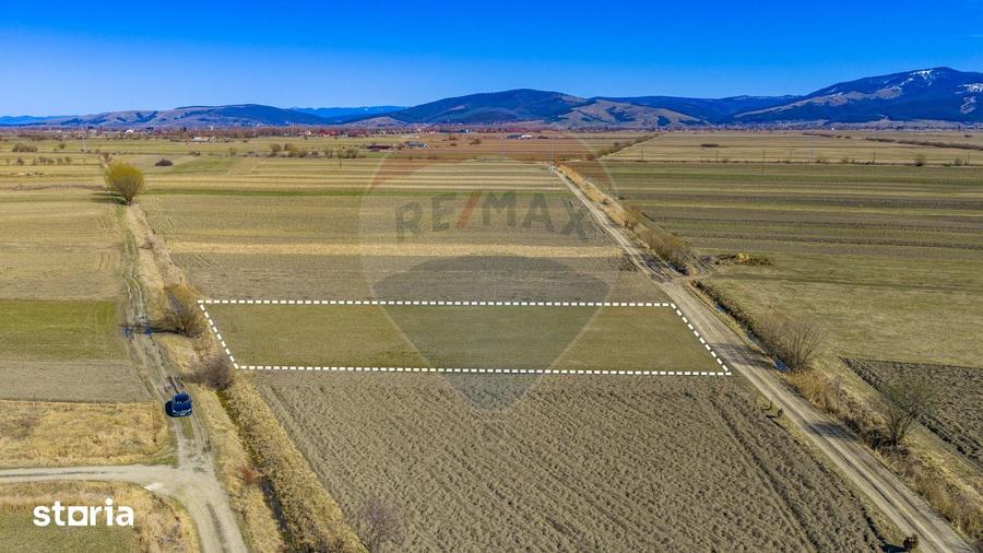 Teren de 3700 mp, în Prejmer