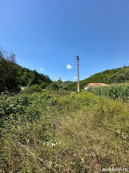 Teren de 2900 mp, în Zam