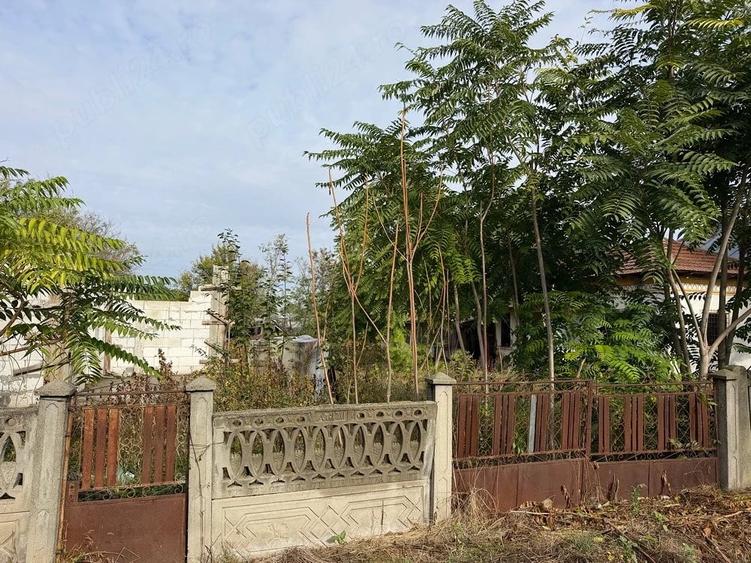 Teren de 870 mp, în Conțești