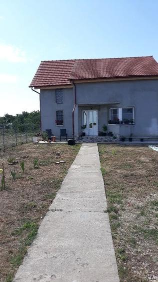 Casă cu 4 camere cu Teren 1100 Mp în Gepiu