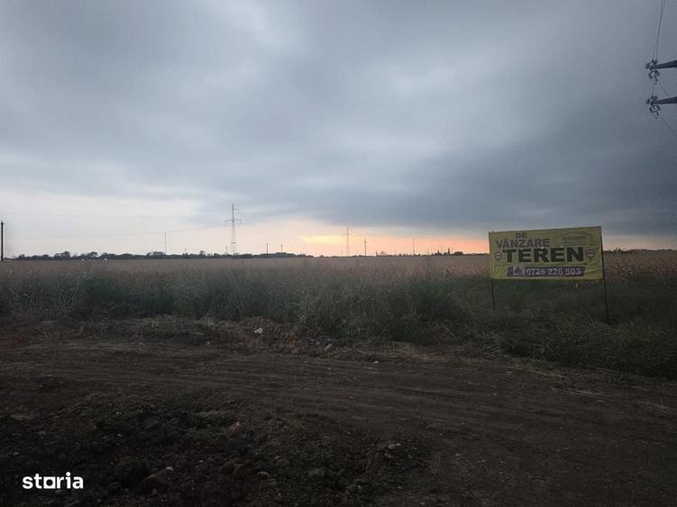 Teren intravilan in orasul Magurele, la limita cu Bucurestiul - 6