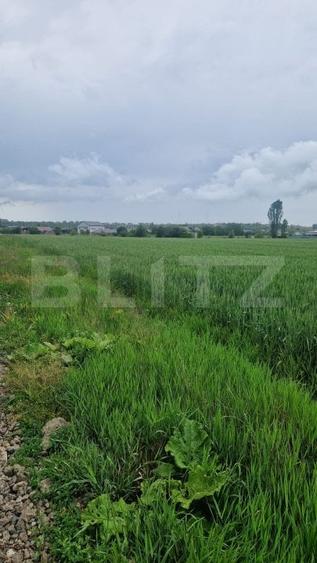 Teren Construcții intravilan de 800 mp, în Bod